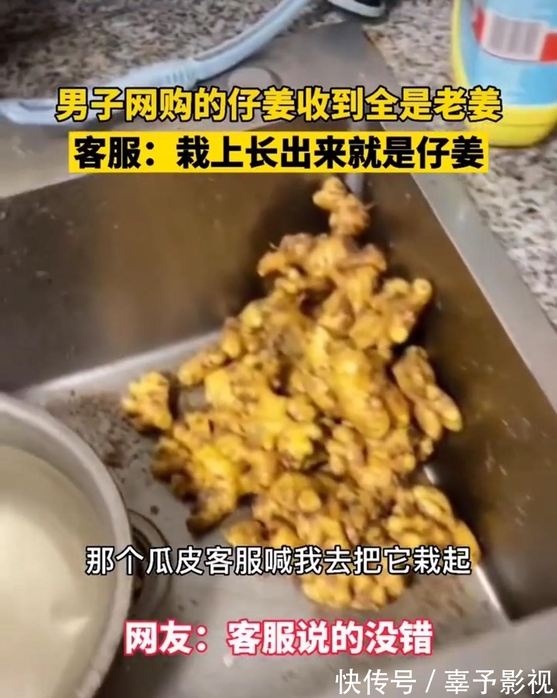 男子|男子想吃仔姜，网店寄来老姜要他自种