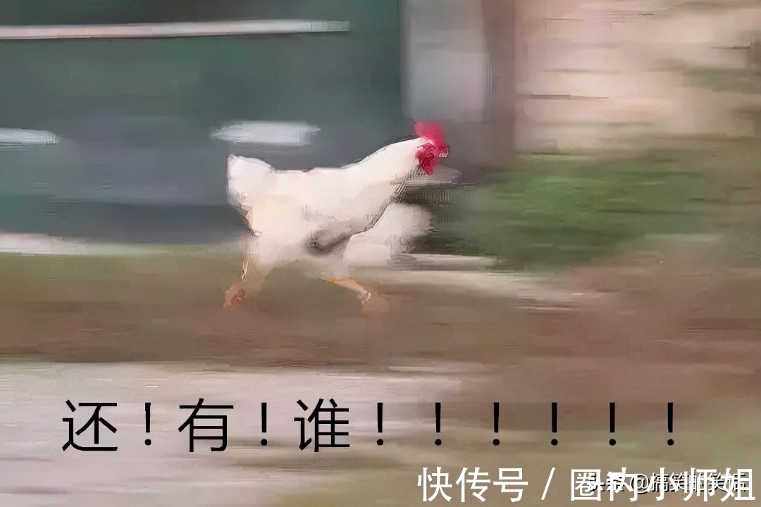 |糗事女同事搞笑笑话,经典结婚搞笑笑话