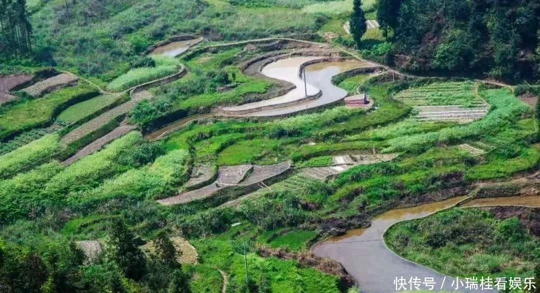 铜锣山|【赏析】走进邻水