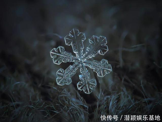 他用8个冬天拍下雪花的样子，每一朵都如此惊艳！