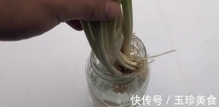 保鲜盒|小葱插进杯子里，真是厉害了，可惜今天才学会，看完我也去试一试