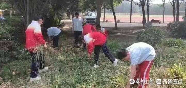 杂草|学生集体上阵清杂草！东昌府区这所中学开展校园美化活动