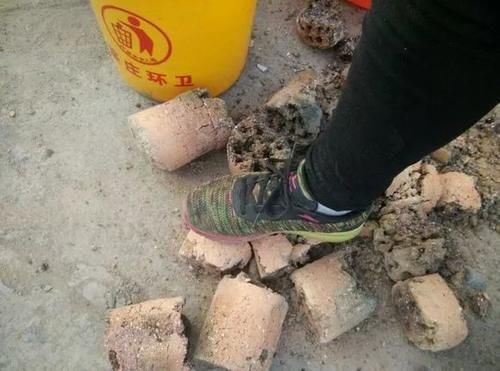 松针土|营养土还在买?3种东西混一混,变成万能花土,养啥旺啥!