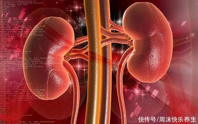 男性晨起后，若发现身体有三种“表现”，说明肾脏很健康，恭喜你