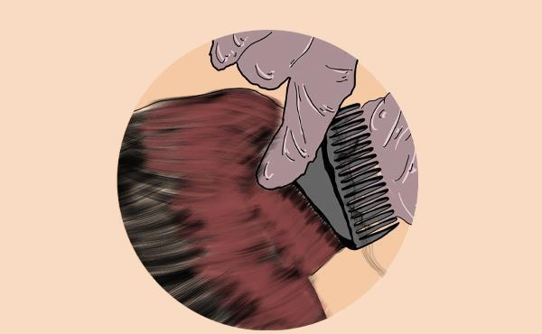 头发|长出来的白发,还能变黑吗?白头发多,该怎么吃?和你聊一聊