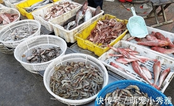 买鱼的时候,碰到这几种鱼赶快买,个头虽小,却营养十足!