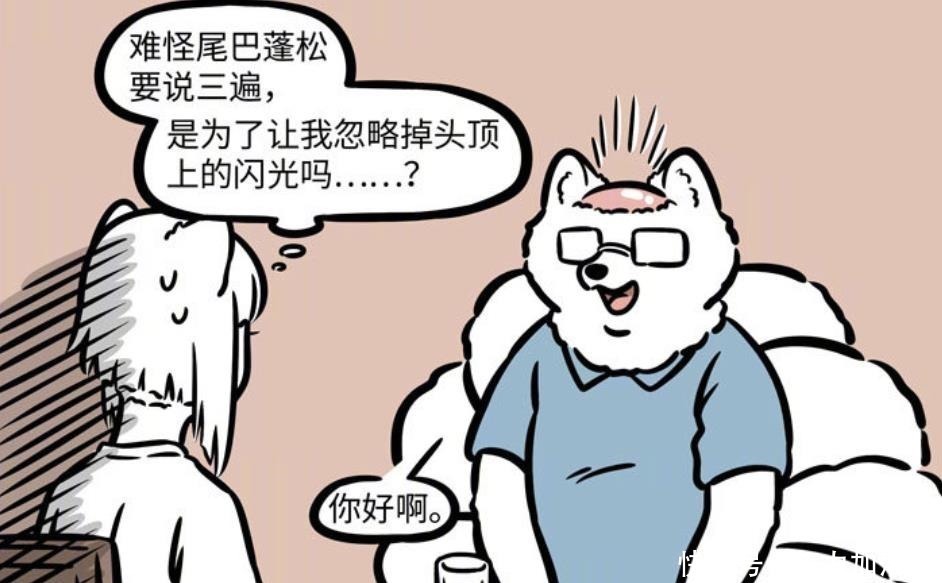 非人哉|非人哉九月媽眼光真好,讓九月和“博士”相親