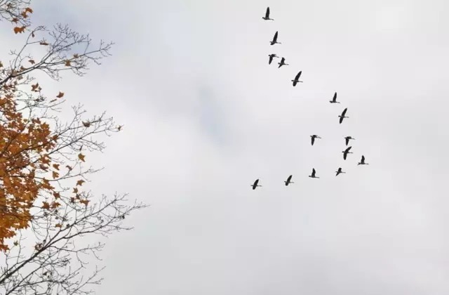 弘一法师|弘一法师：人和人不要靠得太近