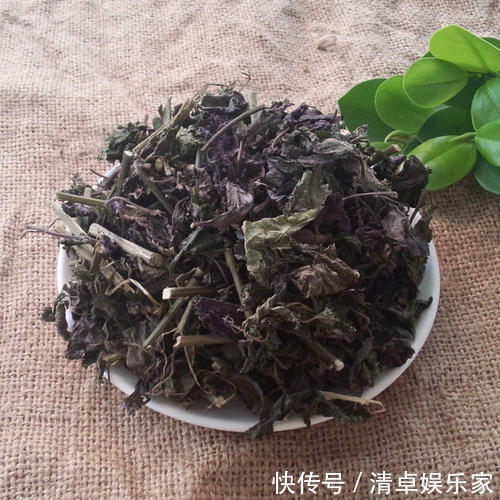 功效|乡下田间地头常见的“紫苏”，8大功效，教你全部吃出来！