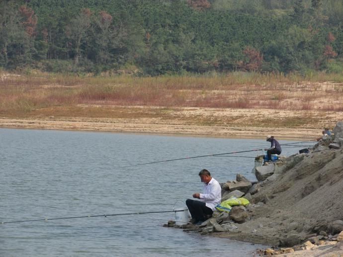 盛夏野钓鲢鳙三步走,黑漂一个连一个,让你提竿到手抖