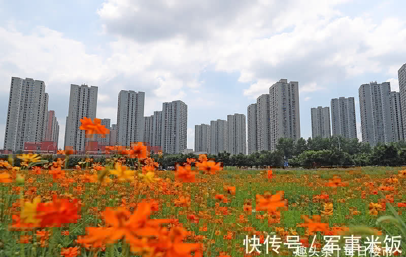 售楼部小姐|刚辞职的售楼部小姐总结购房经验:牢记“15字”,买房有优势