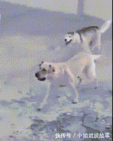 |幽默笑话:老公半夜打牌回来,被迫把床上的妻子赶了出去