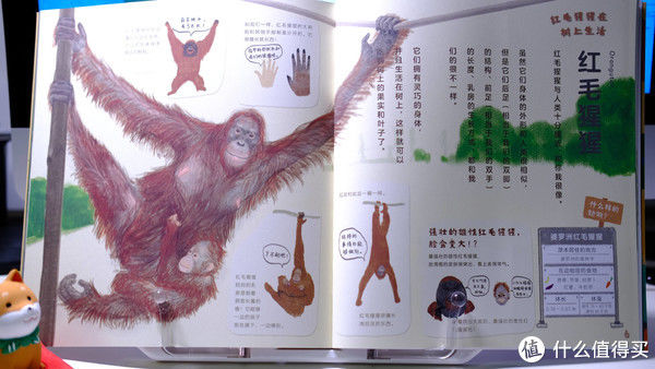 敦姐#囤书季~6套超适合亲子共读~小朋友超爱的儿童童话~绘本科普读物推荐~