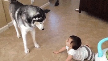 |搞笑GIF:大哥你带着两个美女跑起来,真像个三百斤的胖子