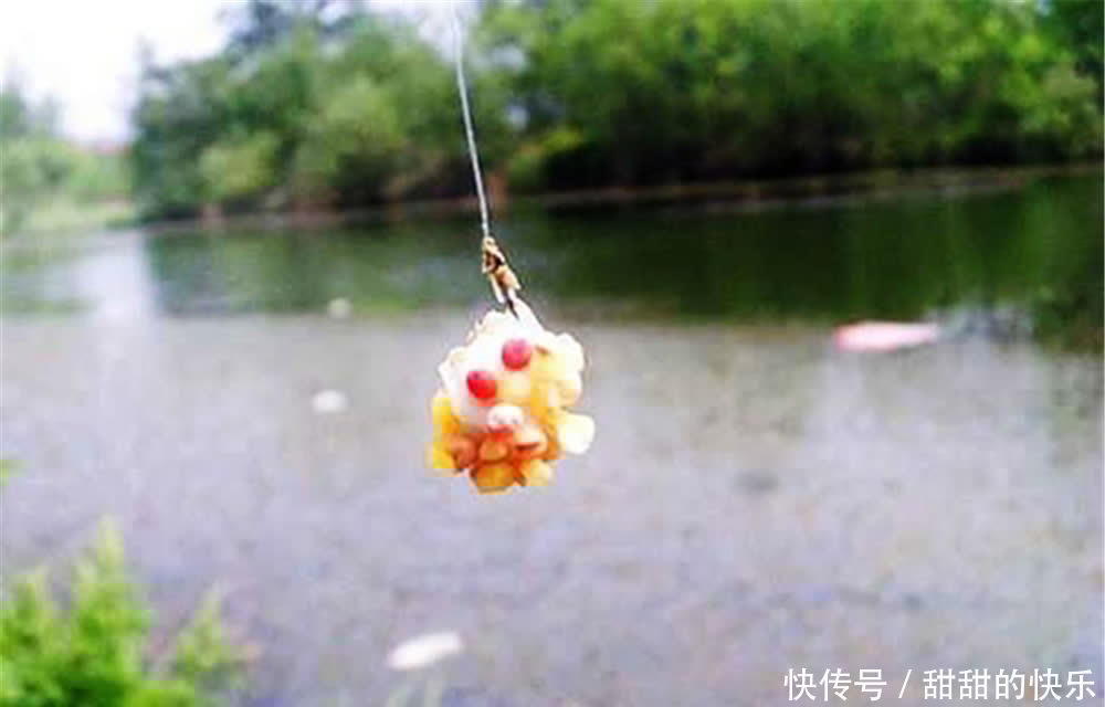 野钓大鲫鱼，遇上小鱼疯狂闹钩，可以试试这种钓法，适合小中取大