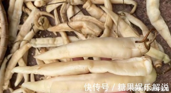 辣椒|它一年四季不贵，多买些晒一晒，密封一存，放2周再吃，太下饭了