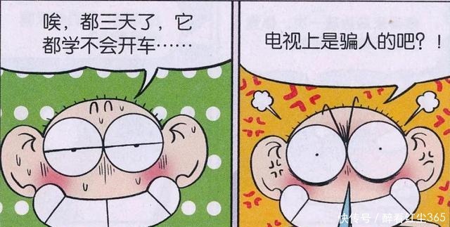 训练|爆笑校园呆头用心训练“宠物开车”,为何却怒骂电视是骗人的