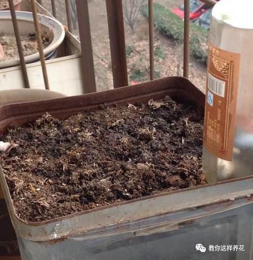 养花的旧土别扔，一招巧变新土，肥沃透气，花儿蹭蹭长！