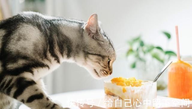 爆炸|最“残忍”的生日蛋糕,让孩子当场情绪爆炸我太难了