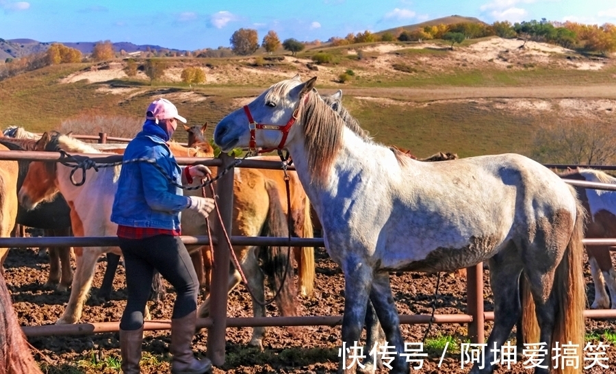 九曲十八湾|盘龙峡谷，乌兰布统草原上的九曲十八湾，展现的是一种原始的美