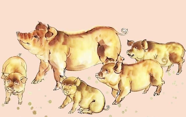 贵人|1月19号开始,喜迎财神,遇到贵人,财气冲天的3大生肖