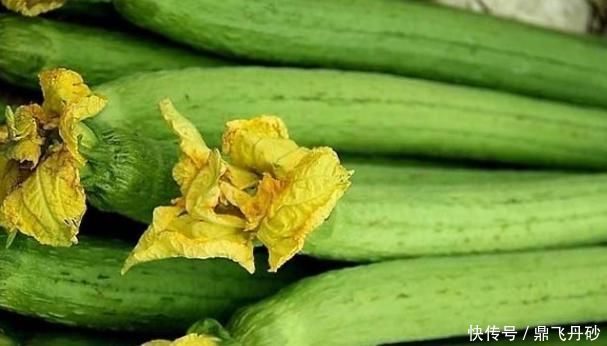 老中医提醒丝瓜与它搭配,就是没病找病,却有很多人偏偏喜欢