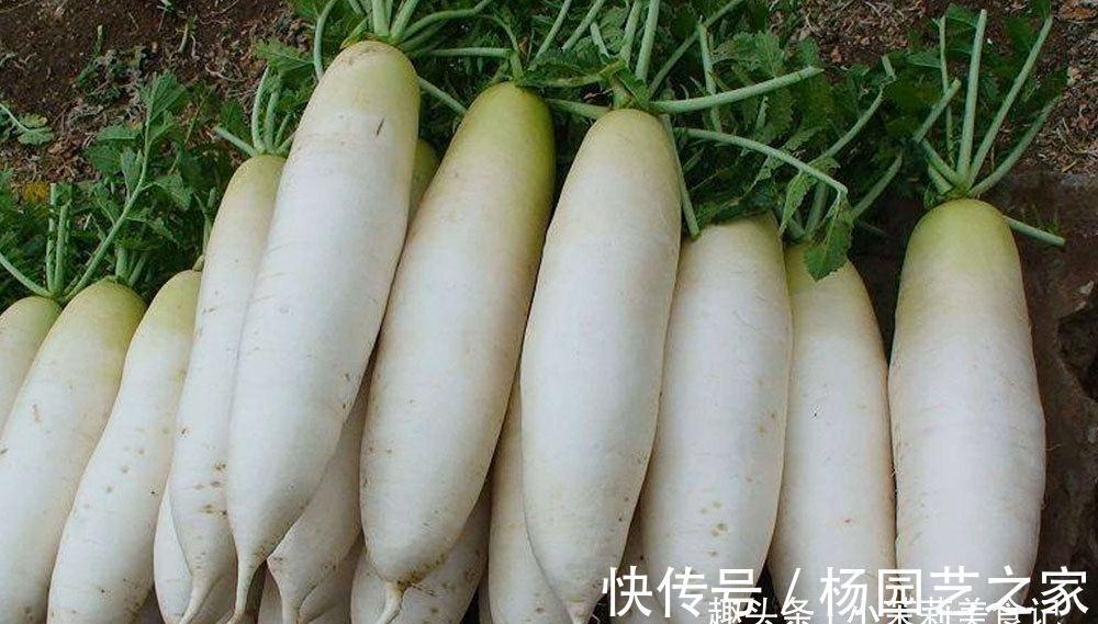 “萝卜上市,郎中下市”,教大家12种白萝卜吃法,应季而食身体棒