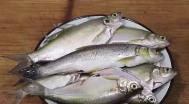 鲜嫩|我家的鱼从来不炖,而是这样做,鱼肉鲜嫩又入味,就连鱼骨都吃掉