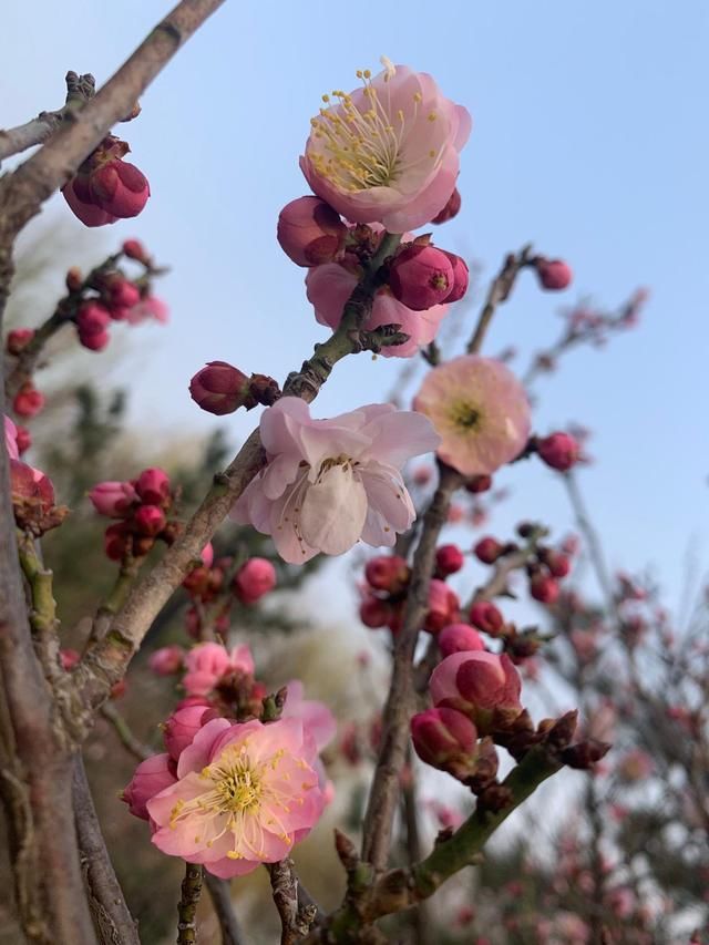 春暖花开 万物复苏 阳春三月 一个绿色的季节！