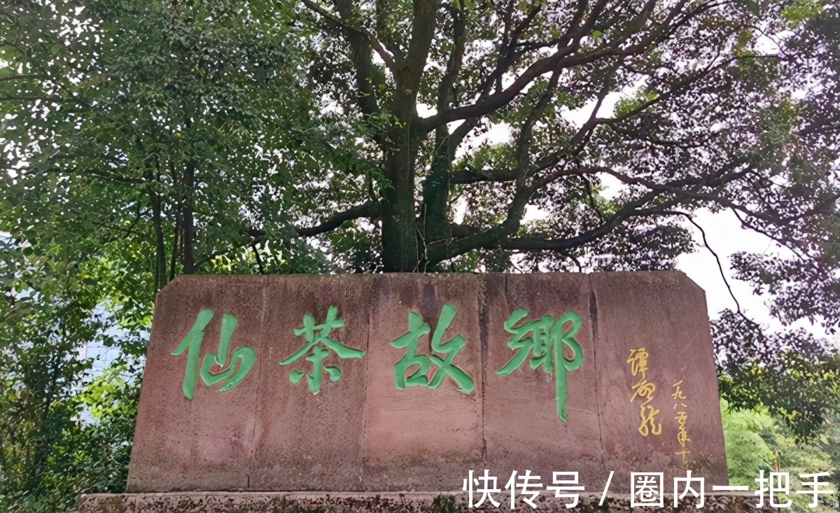 名茶@国内3大“惨败茶”,昔日辉煌时家喻户晓,如今却偏居一隅无人识