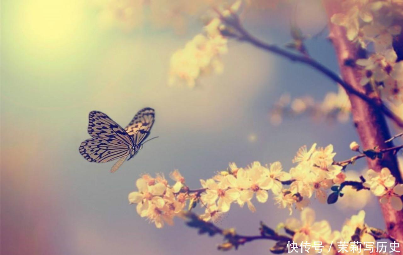 |老头在墙上随手写首诗,一直被路人笑话,大诗人读完却赶紧抄下来