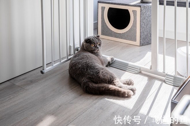 餐厨|62㎡小户型解读年轻人眼中的家