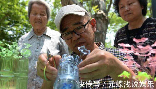 塑料瓶子不要扔,免费做出最美盆栽,养一棵铜钱草也美翻了