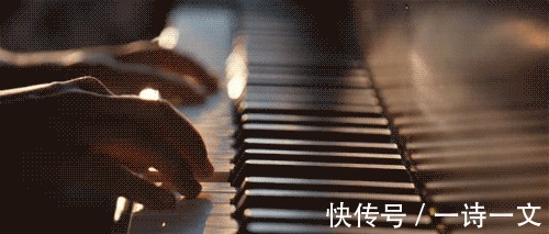 你是$自由与爱,死性不改