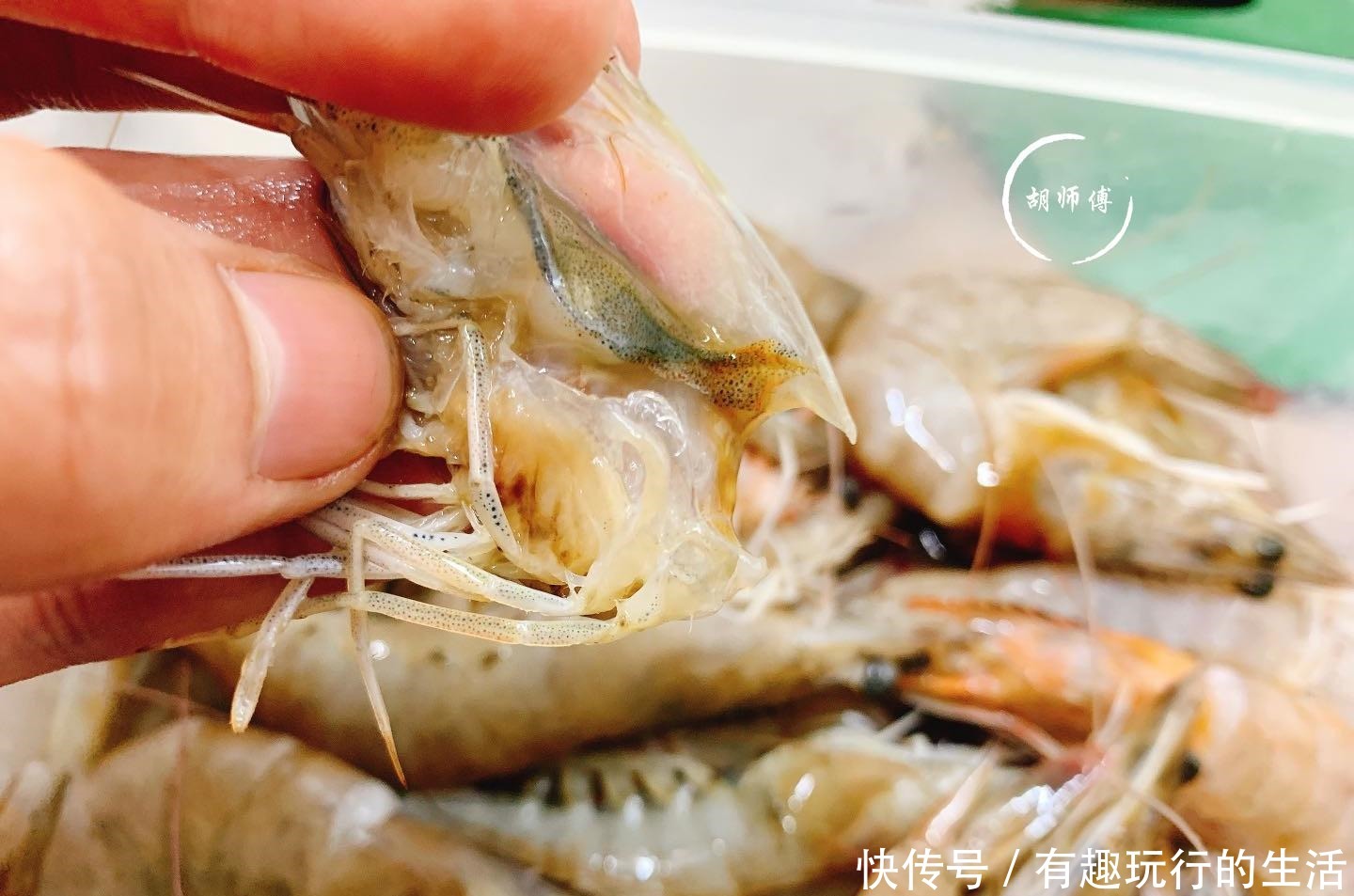 吃大虾时,虾头里面是“屎”还是“精华”如果不懂,那就尴尬了