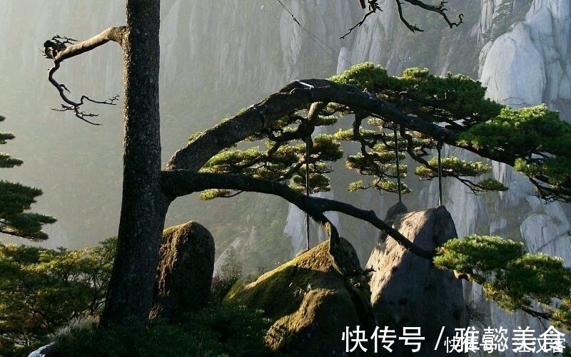 诗作|十首隐士古诗词：香风不动松花老，白云遍地无人扫