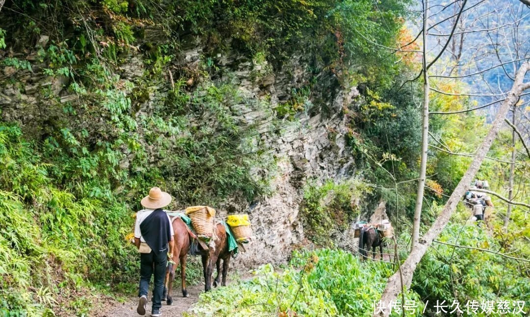 村寨|滇藏丙察察线起点，传说人神共居的地方，都住着哪方“神仙”