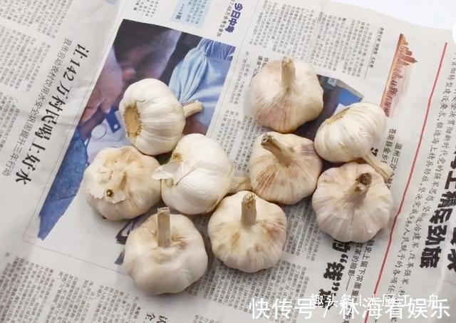 小苏打|原来保存大蒜这么简单，教你5招保存方法，大蒜放一年不发芽
