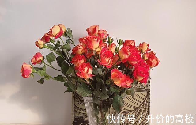 水瓶座|自我意识强,但也善于变通的星座,懂得随机应变,该低头就低头