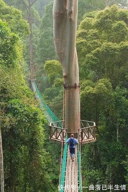 祖国|罕见的祖国山河这一辈子见一次值了