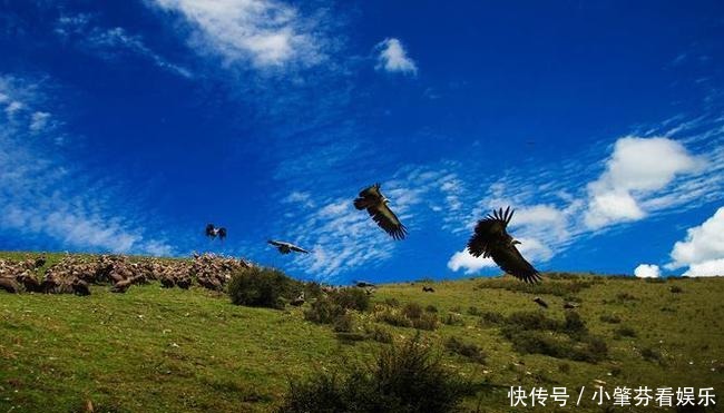 接力|风景接力川西路，拍不完的康藏景