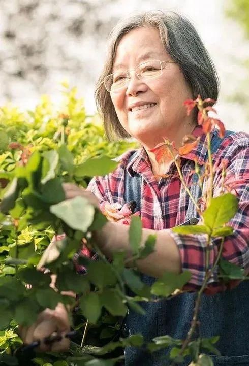 睿子|龚曙光：屋顶上的艺术家