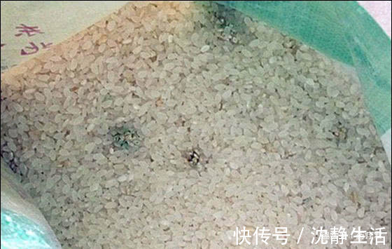 环氧化物|家中大米有了这些迹象,不要再吃了,常吃可致肝癌!