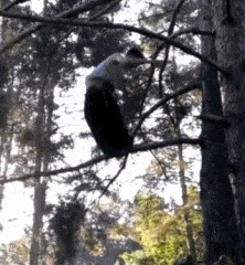 |搞笑GIF:妹子伪装的太好了 你成功的把我骗到了