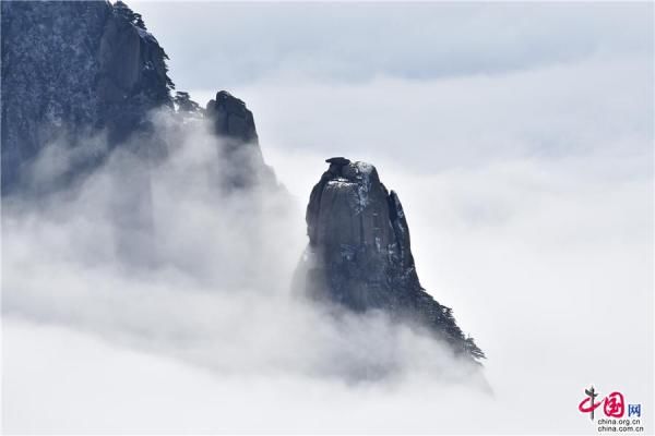 冰雪|大雪过后的黄山，是一个被冰雪包裹的艺术品