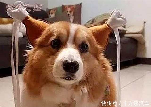 a4931|图个有趣172期：这么可爱的的蕾姆居然真是个蓝孩子