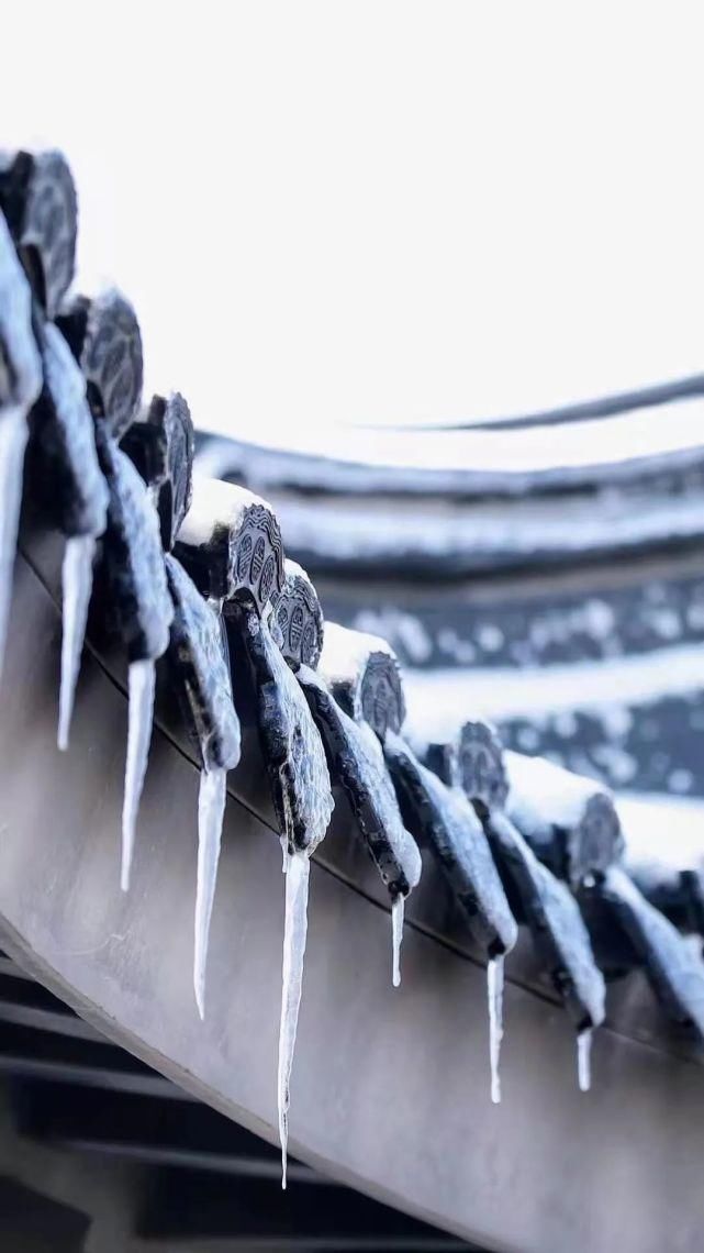 一场雪，美了齐鲁，醉了酒地！