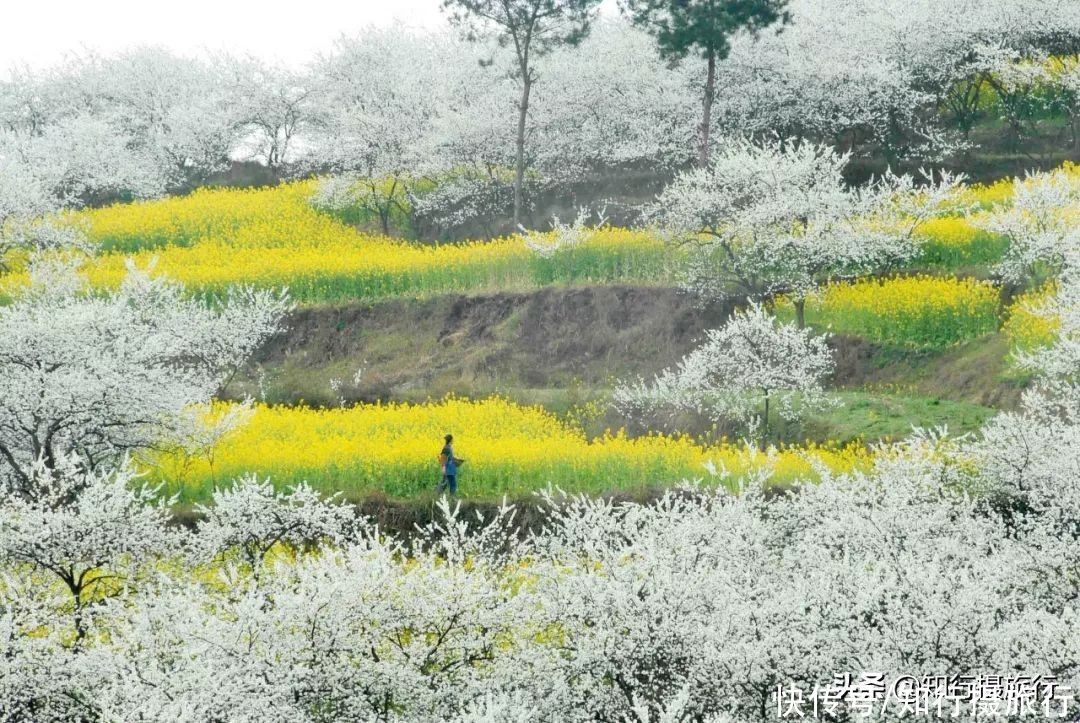 珍藏无数极致美景，最近红遍抖音的小众目的地：贵州