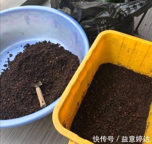 营养土不用花钱买，自己制作的“营养土”，养啥花都旺