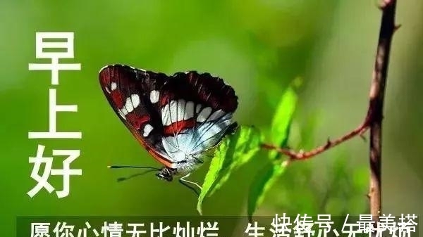 动画|适合发微信的早安问候语 早晨好图片动画表情